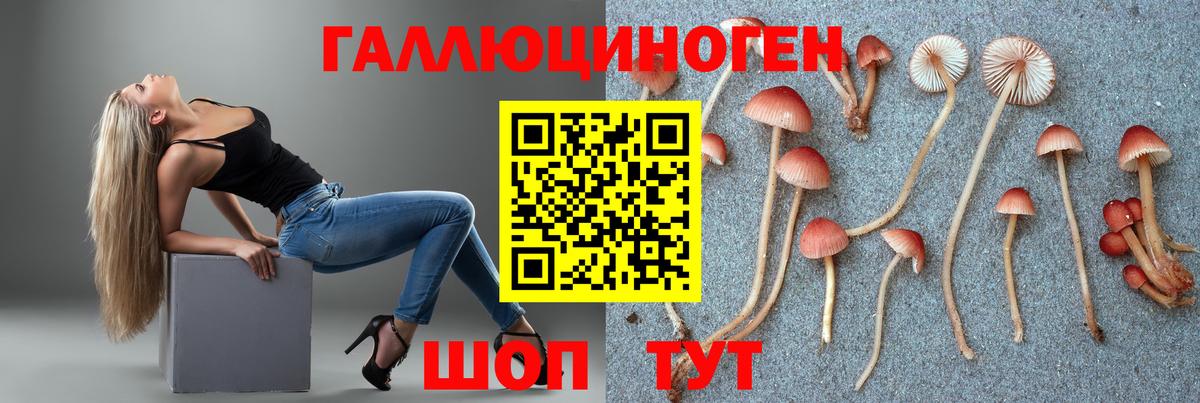 Галлюциногенные грибы GOLDEN TEACHER Благодарный
